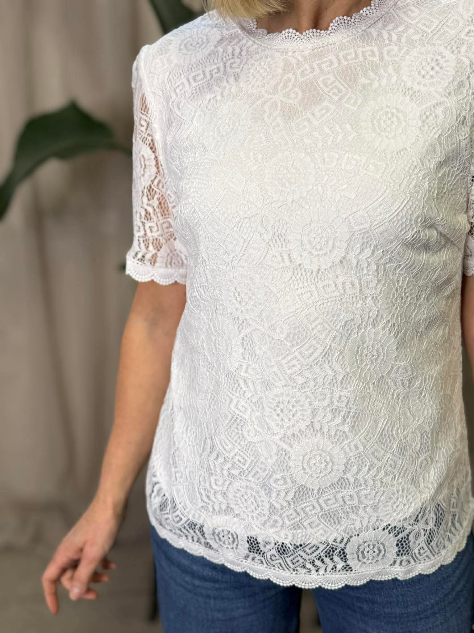 PCOLLINE T-Shirt - Cloud Dancer